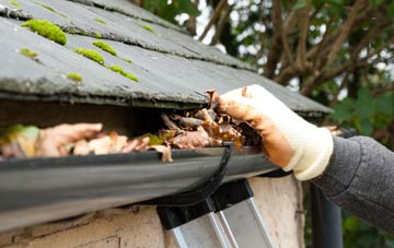gutter cleaning Tydd St Giles, Cambridgeshire