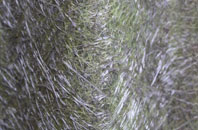 Tydd St Giles fibreglass roof work